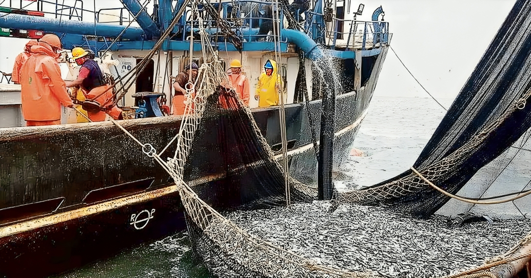 Electronic Monitoring